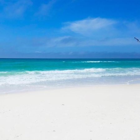 Summerhouse 1009B Panama City Beach Eksteriør bilde